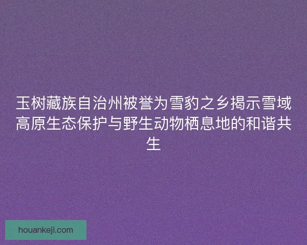 玉树藏族自治州被誉为雪豹之乡揭示雪域高原生态保护与野生动物栖息地的和谐共生