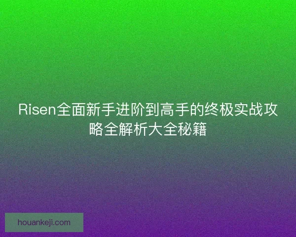Risen全面新手进阶到高手的终极实战攻略全解析大全秘籍