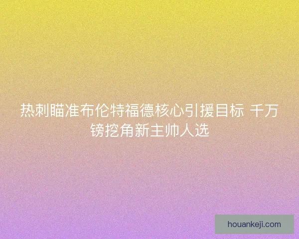 热刺瞄准布伦特福德核心引援目标 千万镑挖角新主帅人选